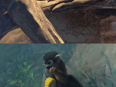 -福州罗源湾海洋世界旅游区