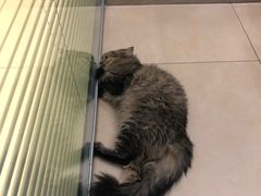 -美迦爱-牙专科·兔科·骨科诊疗中心(北苑店)