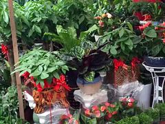 -金陵花卉交易市场