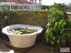 椰林房-娜娜度假小旅馆