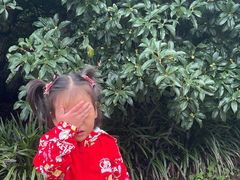 -小龙大肉面馆