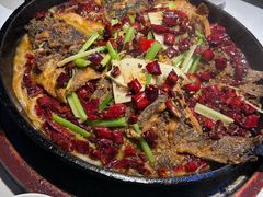 -老板恋上鱼(高新万达店)