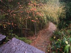 -仙霞关景区