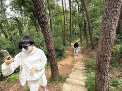 -青龙山国家森林公园