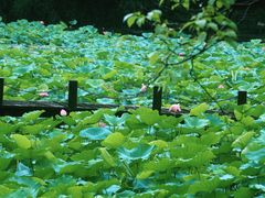 -兰亭风景区