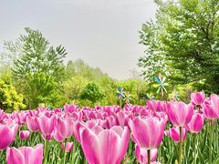 -郑州中国绿化博览园