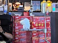 -石锅苗苗鱼(武汉首店)