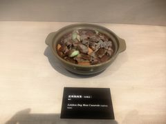 -广东中医药博物馆