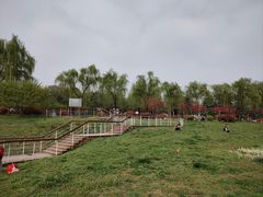 -洨河生态公园