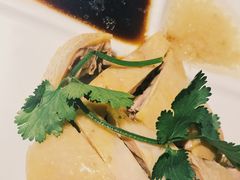 江南白切鸡-卤儿道道(龙游路店)