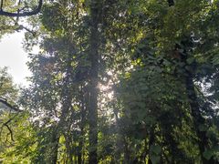 -广西壮族自治区药用植物园