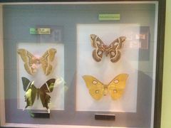 -上海昆虫博物馆