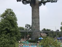 -苏州乐园森林水世界