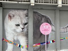 -老城隍庙食品商店(豫园商城店)