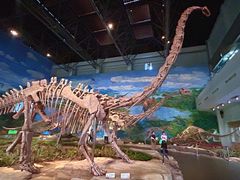 -自贡恐龙博物馆