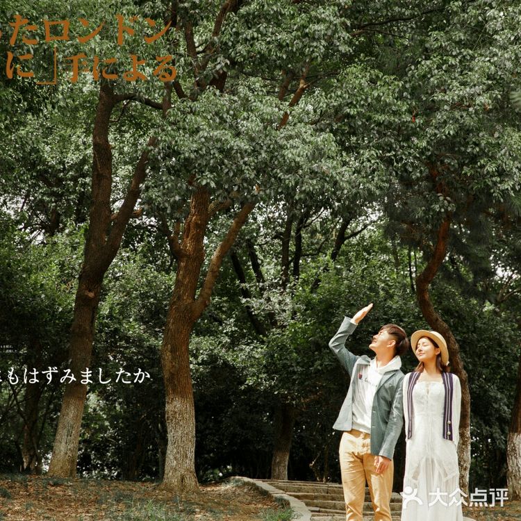 午后的厦门究竟有多美，看看这一辑就知道了~