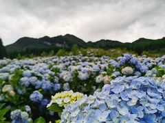 -玉舍国家森林公园