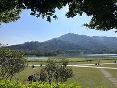 -风云岭森林公园