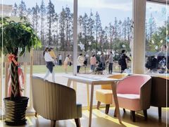 -前小桔亲子创意农场·草莓采摘·露营烧烤