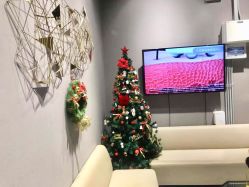 -三只熊皮肤管理中心