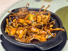 蛙蛙鸭舌-都市里的乡村(山西路店)