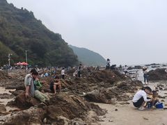 -西涌国际滨海旅游区