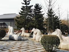 -鹦鹉寺公园
