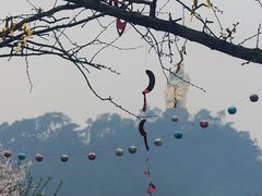 -南山植物园