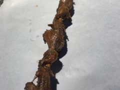 -京狮炙燥·精酿烧烤(首经贸店)