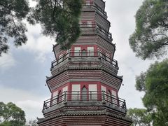 -顺峰山公园