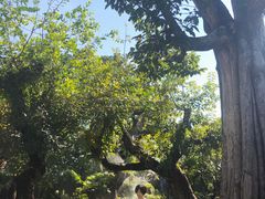 -Chom Cafe and Restaurant