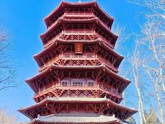 -北京世界公园