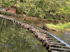 -阿哈湖国家湿地公园