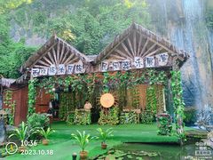 -西双版纳原始森林公园