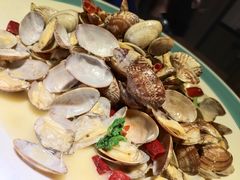 辣炒蛤蜊-船歌·鱼水饺青岛菜(金狮广场店)