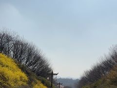 -宜兴龙背山森林公园