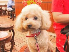 -顺记冰室(宝华路店)