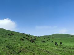 -新疆那拉提国家旅游度假区