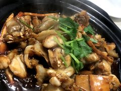 蒜香牛蛙煲-阿莉餐厅(枣阳路店)