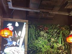 -满香宜猪肚鸡(叠彩万达店)