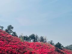 -木兰云雾山
