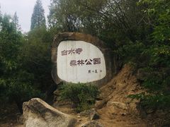 -白水寺森林公园