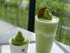 -雪绿茶博物馆