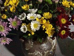 -三圣花乡旅游区