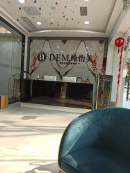 -DEM缔怡美科技美容