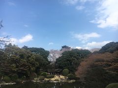 -东京国立博物馆
