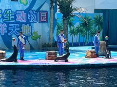 -深圳野生动物园