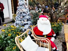 -三圣花乡旅游区