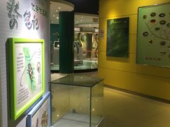 -上海昆虫博物馆