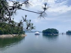 -月光岛(五龙岛)